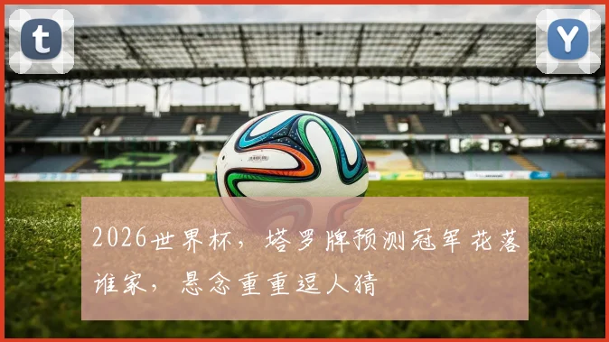 2026世界杯，塔罗牌预测冠军花落谁家，悬念重重逗人猜