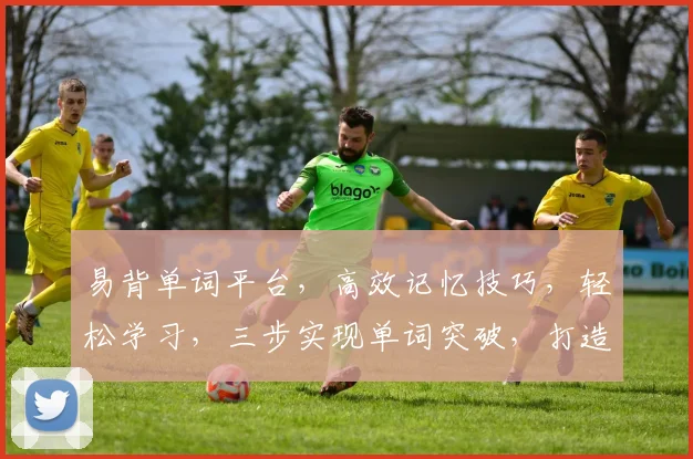 易背单词平台，高效记忆技巧，轻松学习，三步实现单词突破，打造你的词汇库