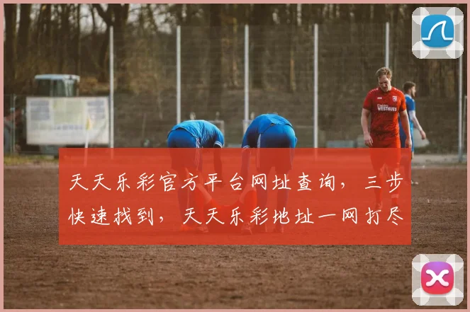 天天乐彩官方平台网址查询，三步快速找到，天天乐彩地址一网打尽，必看