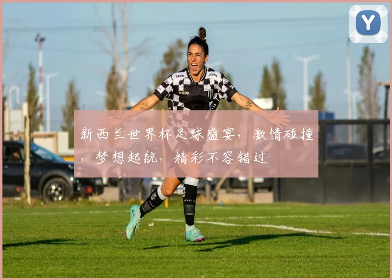 新西兰世界杯足球盛宴，激情碰撞，梦想起航，精彩不容错过