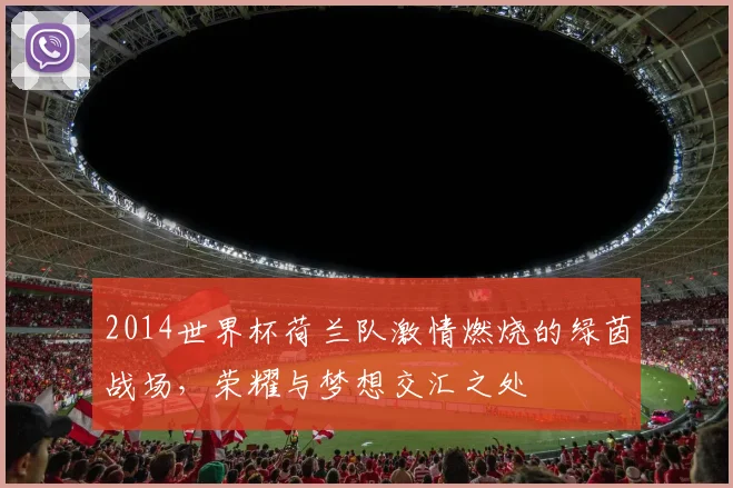 2014世界杯荷兰队激情燃烧的绿茵战场，荣耀与梦想交汇之处