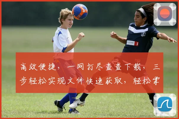 高效便捷，一网打尽查查下载，三步轻松实现文件快速获取，轻松掌握。