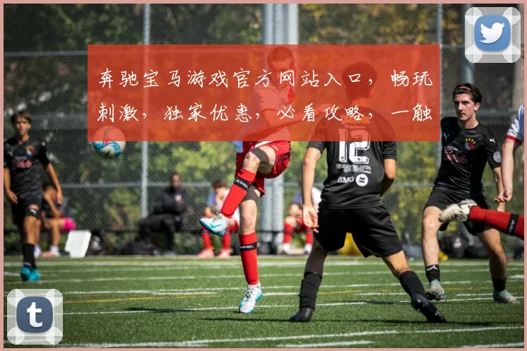 奔驰宝马游戏官方网站入口，畅玩刺激，独家优惠，必看攻略，一触即达