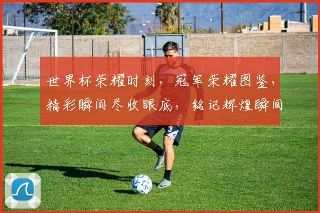 世界杯荣耀时刻，冠军荣耀图鉴，精彩瞬间尽收眼底，铭记辉煌瞬间，一睹为快