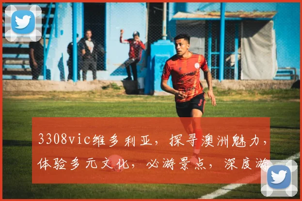 3308vic维多利亚，探寻澳洲魅力，体验多元文化，必游景点，深度游攻略分享